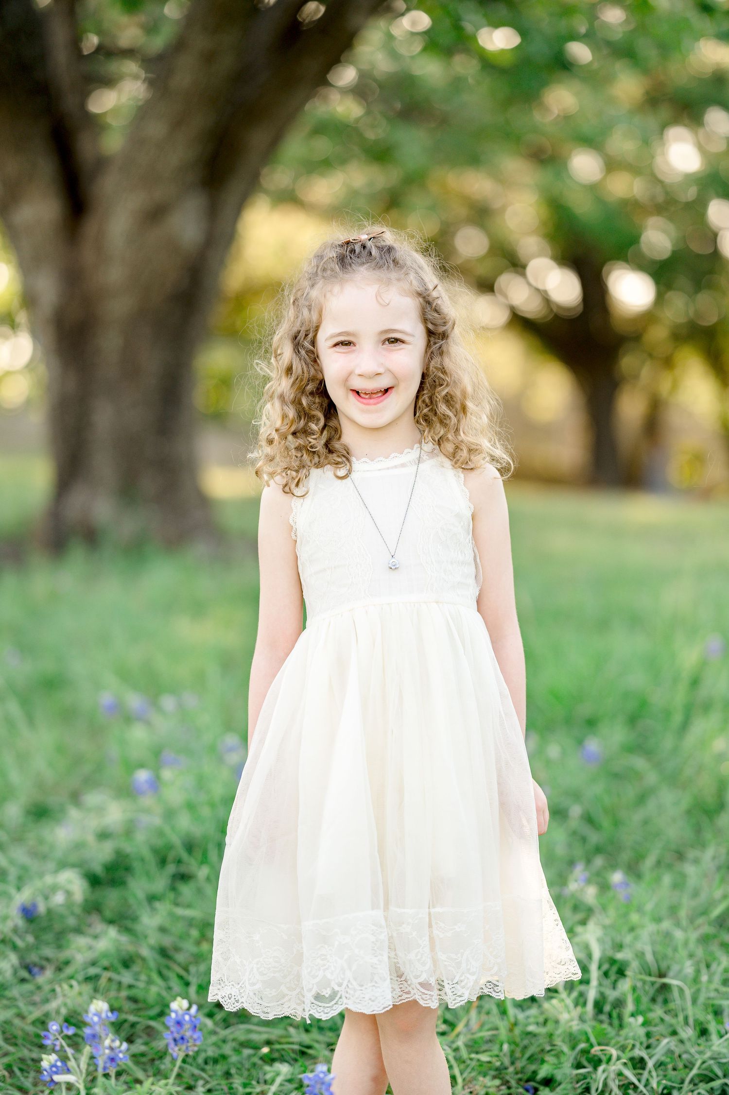 houston bluebonnet minis near near