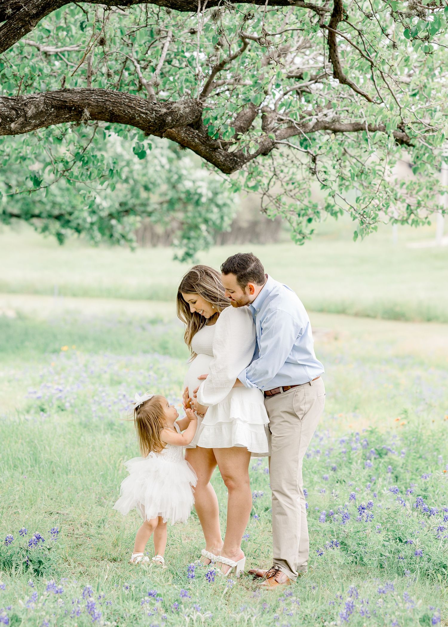 maternity photos bluebonnets near me