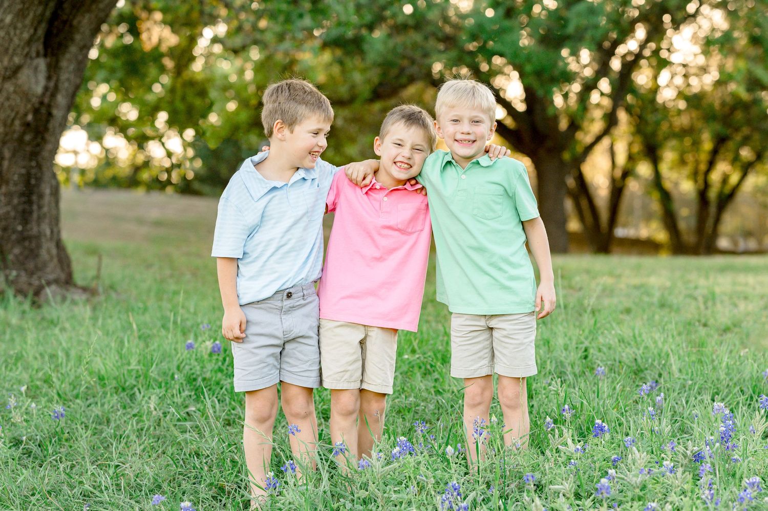 houston bluebonnet minis near near