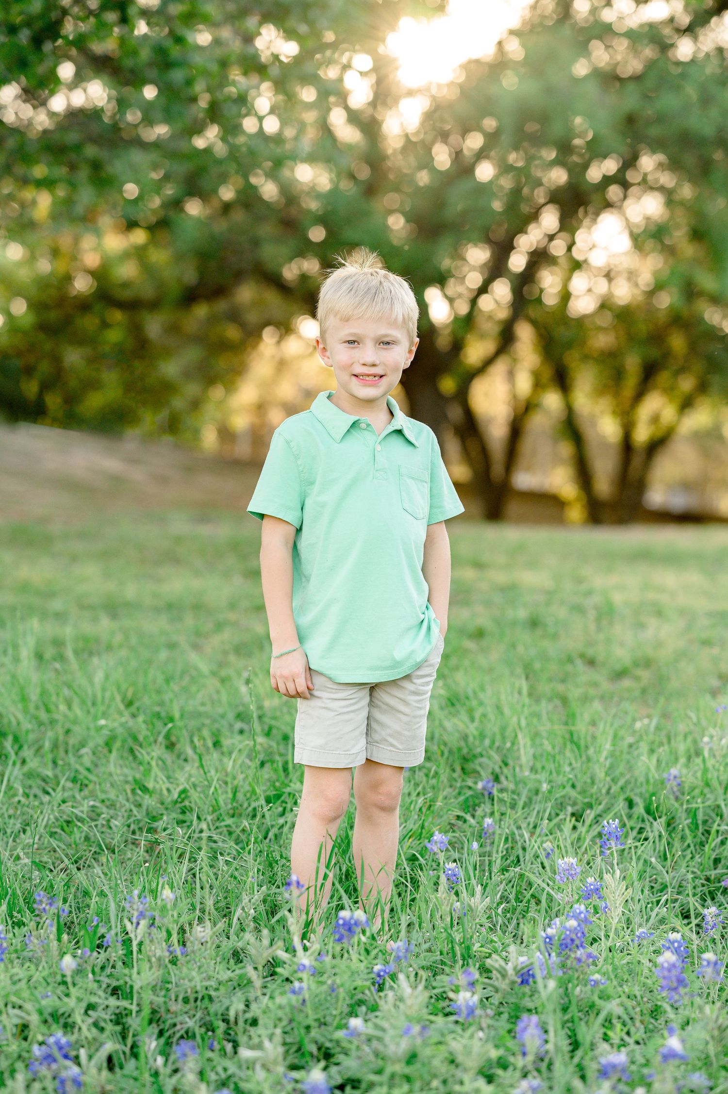 houston bluebonnet minis near near