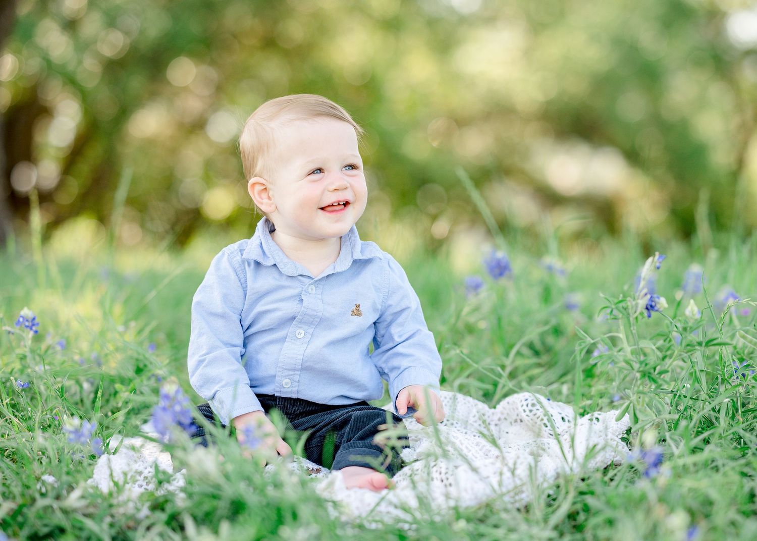 baby in bluebonnets near me