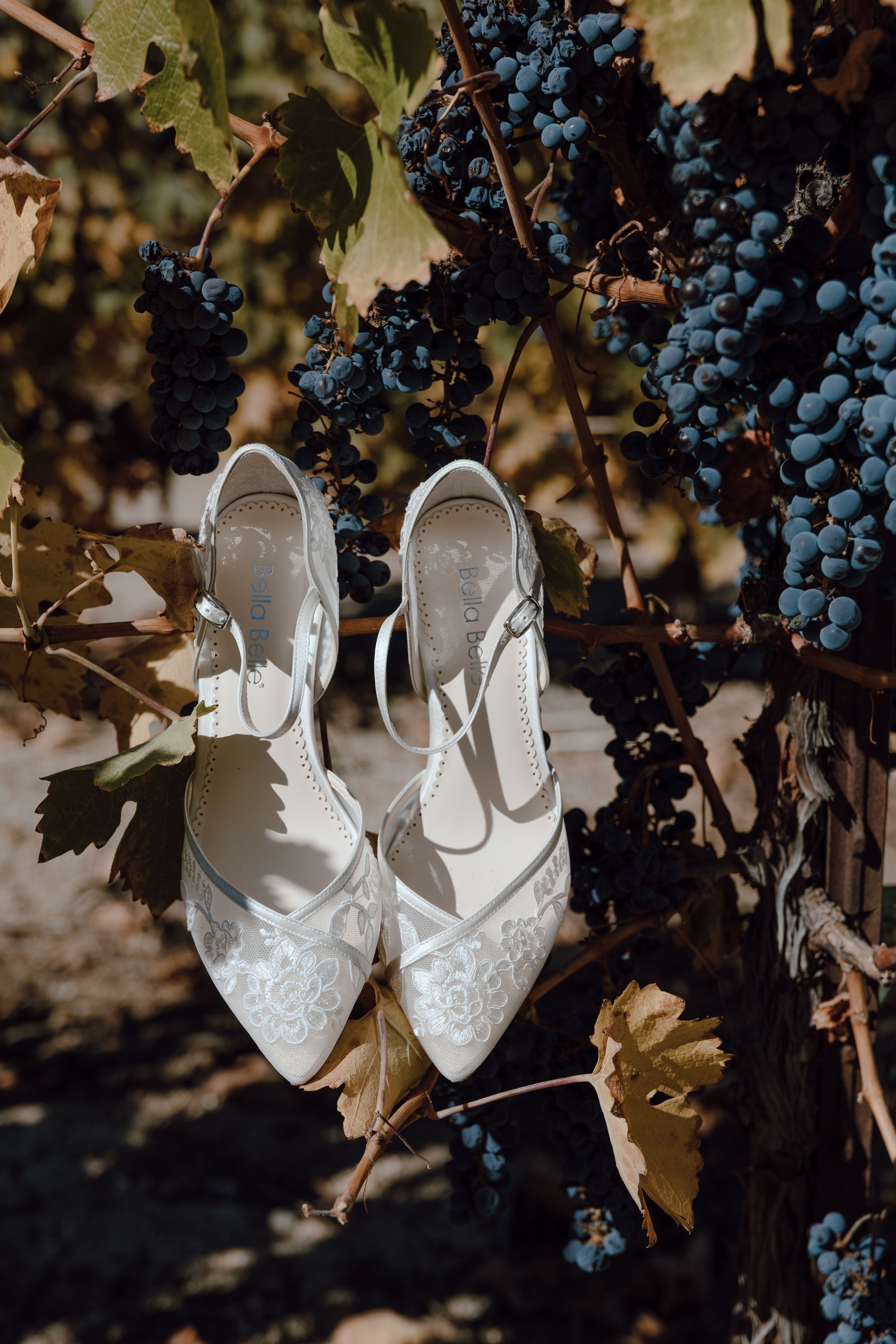 Elegant white lace bridal shoes displayed among purple wine grapes on grapevines in a vineyard setting.