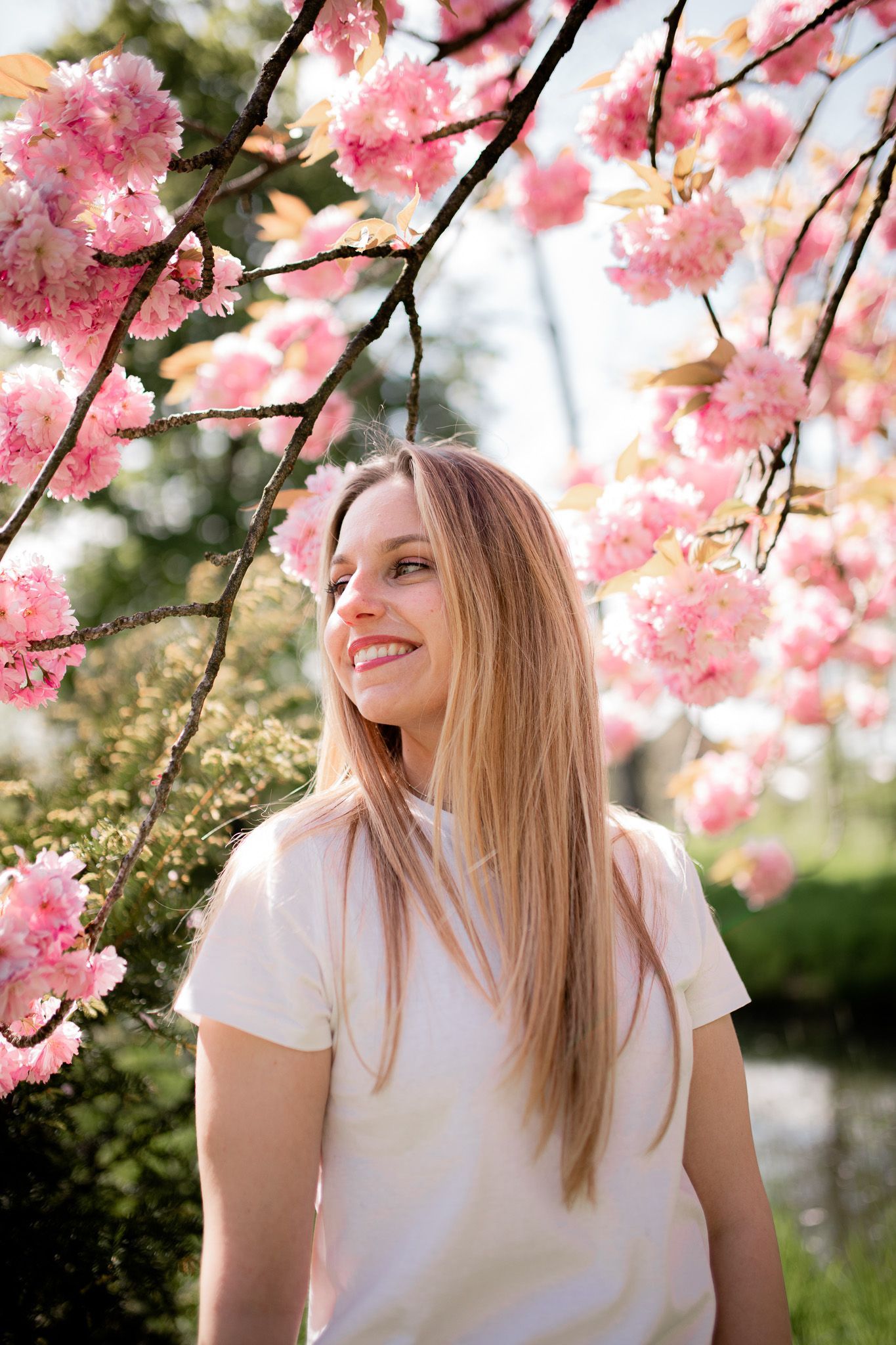 Springtime portrait series with blooming pink cherry blossoms and soft natural lighting in an outdoor garden setting.