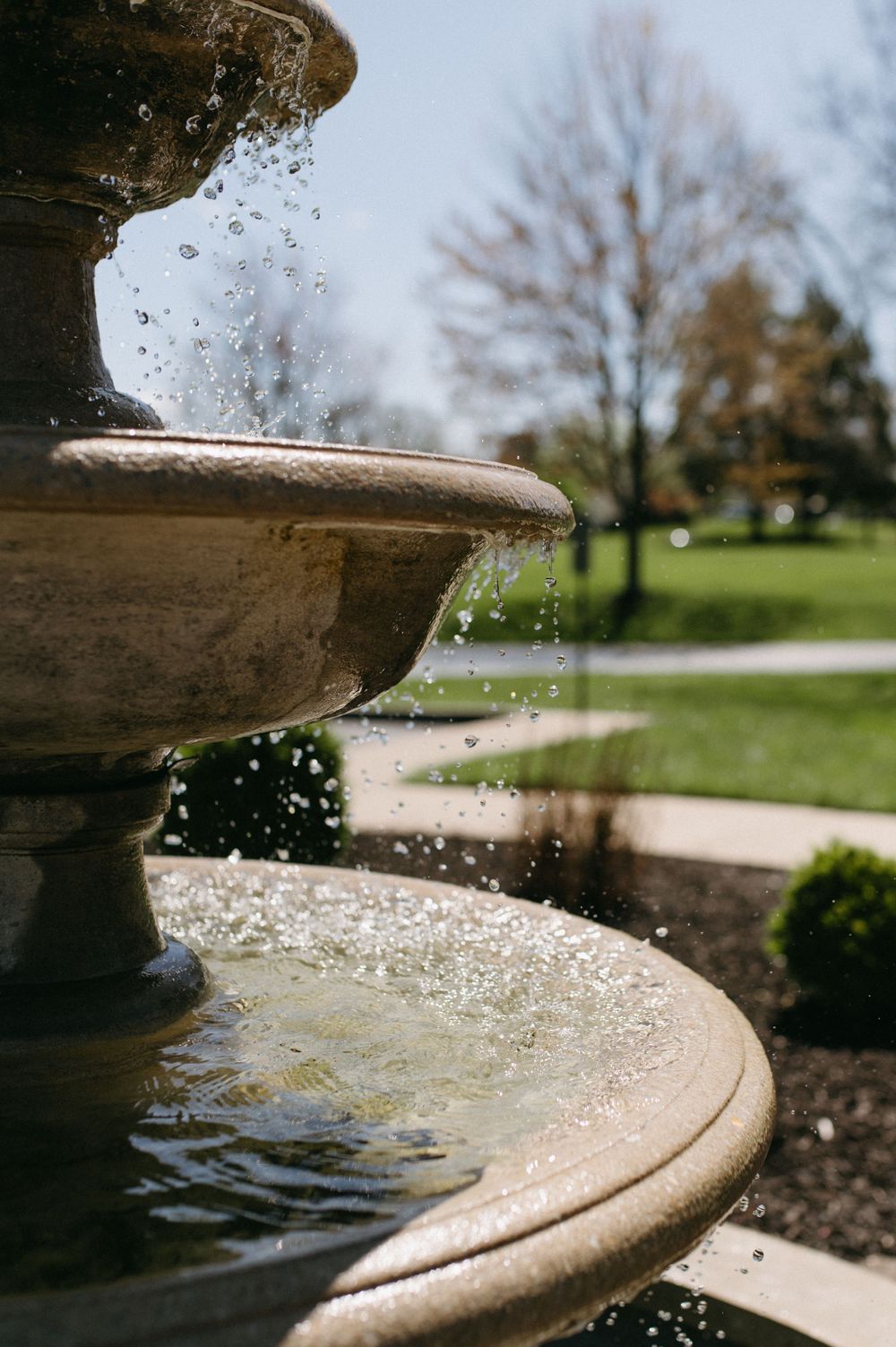 Close-up of water fountain with sparkling droplets against blurred garden background.