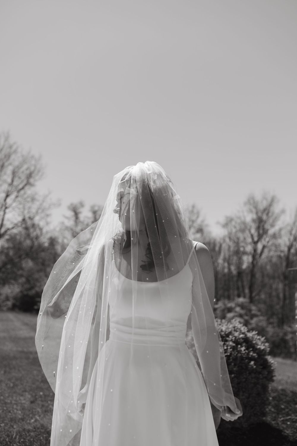 Black and white portrait of bride in veil against natural outdoor background.