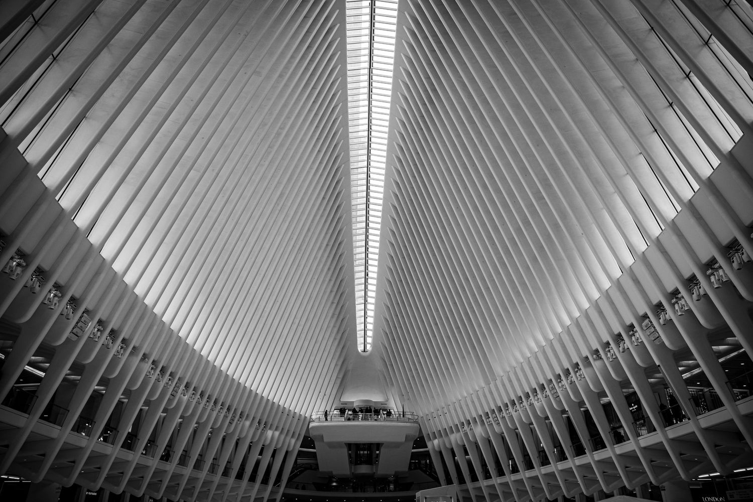 Westfield World Trade Center, New York, USA, black and white