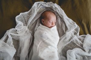 Sleeping newborn swaddled in white blanket under sheer fabric canopy.