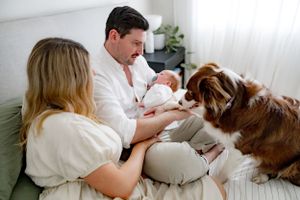 A brown dog curiously interacts with a newborn baby while on a comfortable bed.