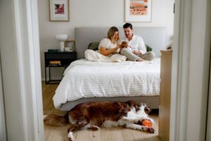 A cozy bedroom scene with a dog relaxing on the floor while a family gathers on the bed.