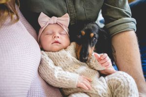 A sleeping newborn in a knit outfit with bow beside a black dog.