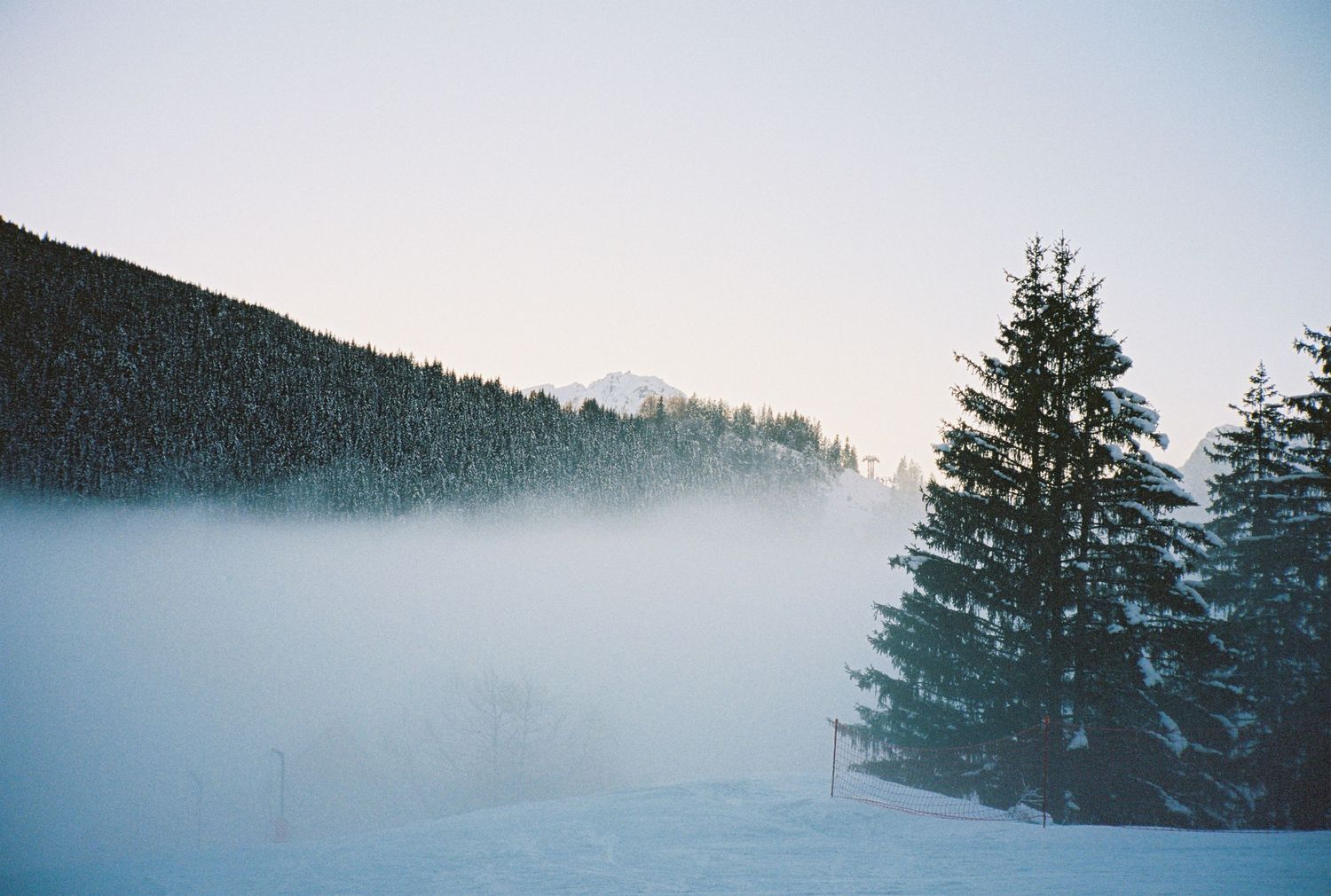 Misty winter landscape with snow-covered evergreen trees on a mountain slope.