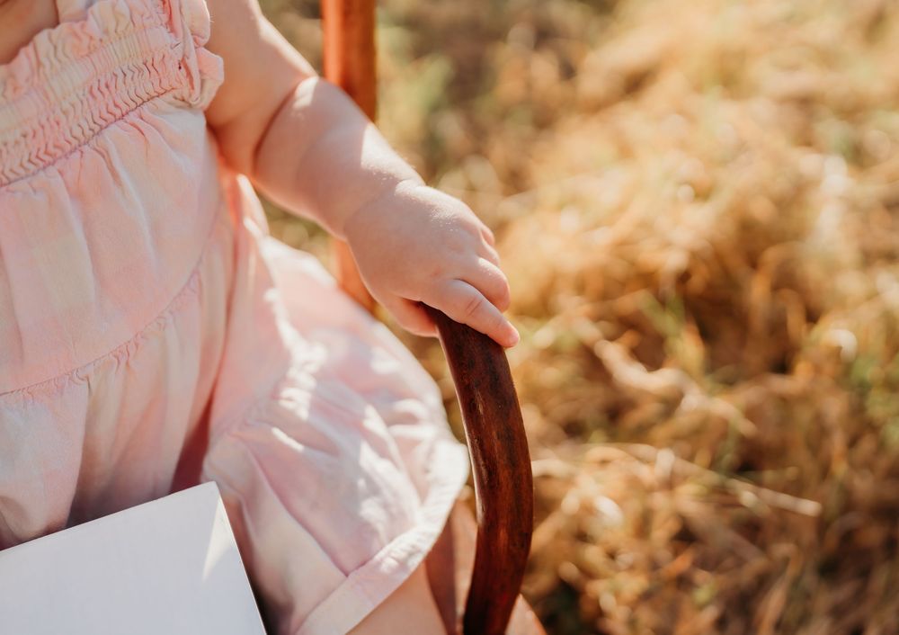 A child in a pink dress sits on a wicker chair surrounded by golden dried grasses in warm sunlight.
