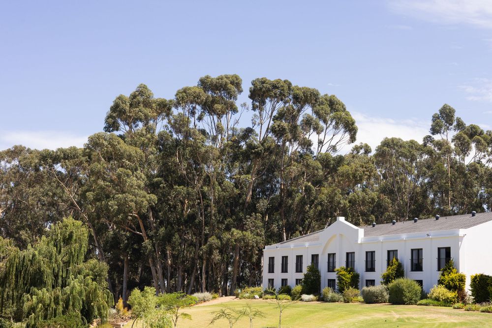 White colonial style building sits against backdrop of tall eucalyptus trees under blue sky on grassy hillside.