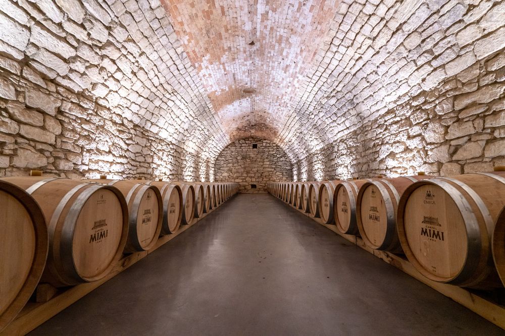Stone-vaulted wine cellar tunnel lined with rows of oak barrels for aging fine wine.