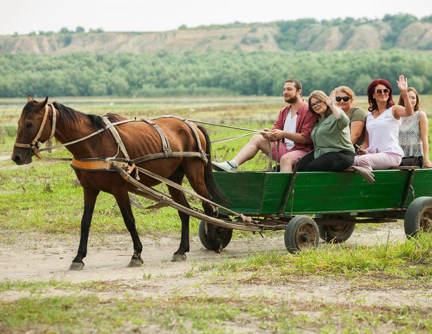 Group of cheerful people riding a horse-drawn green wagon through an open rural field.
