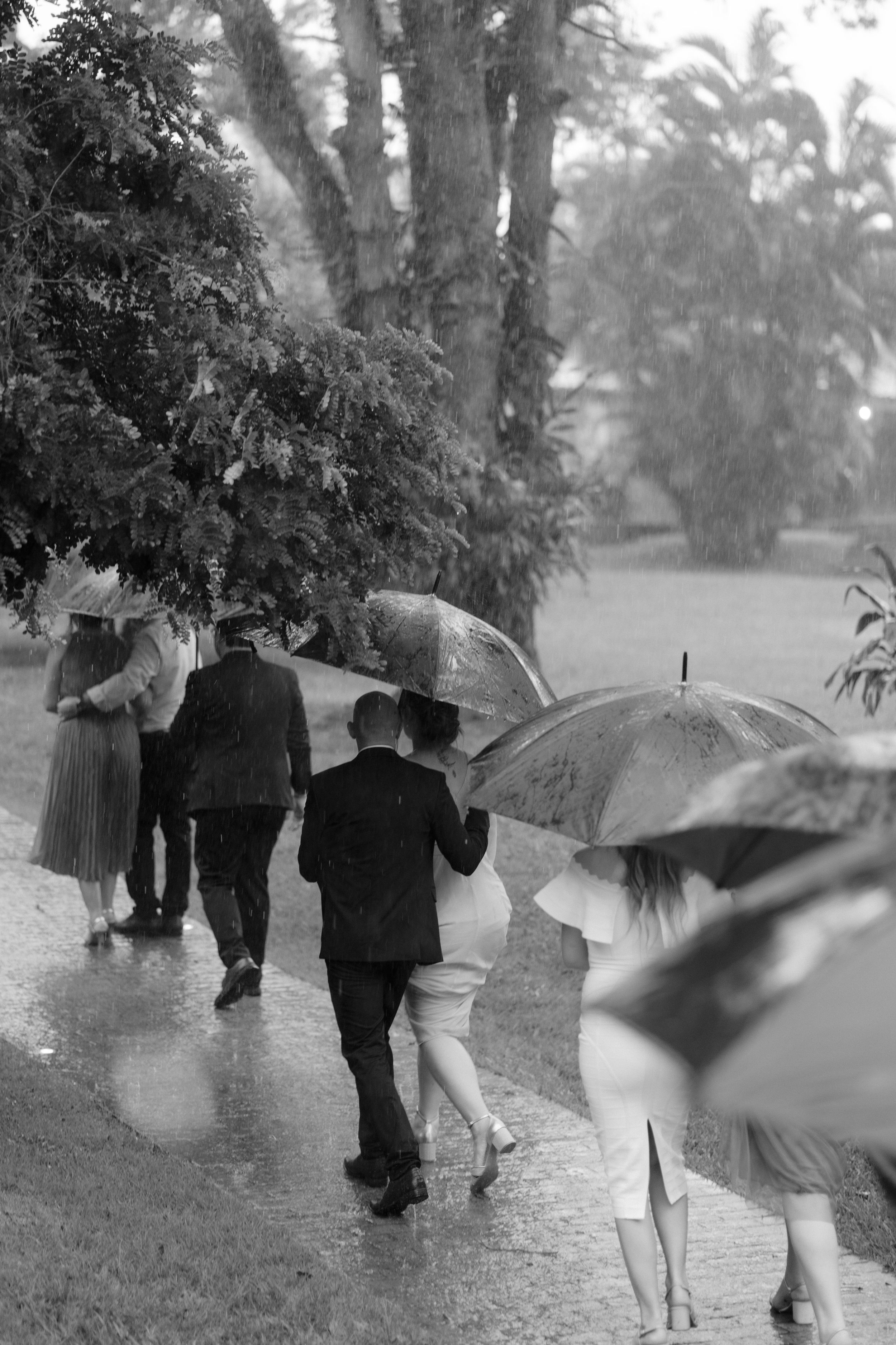 Wedding party walking with umbrellas through a rainy garden path.