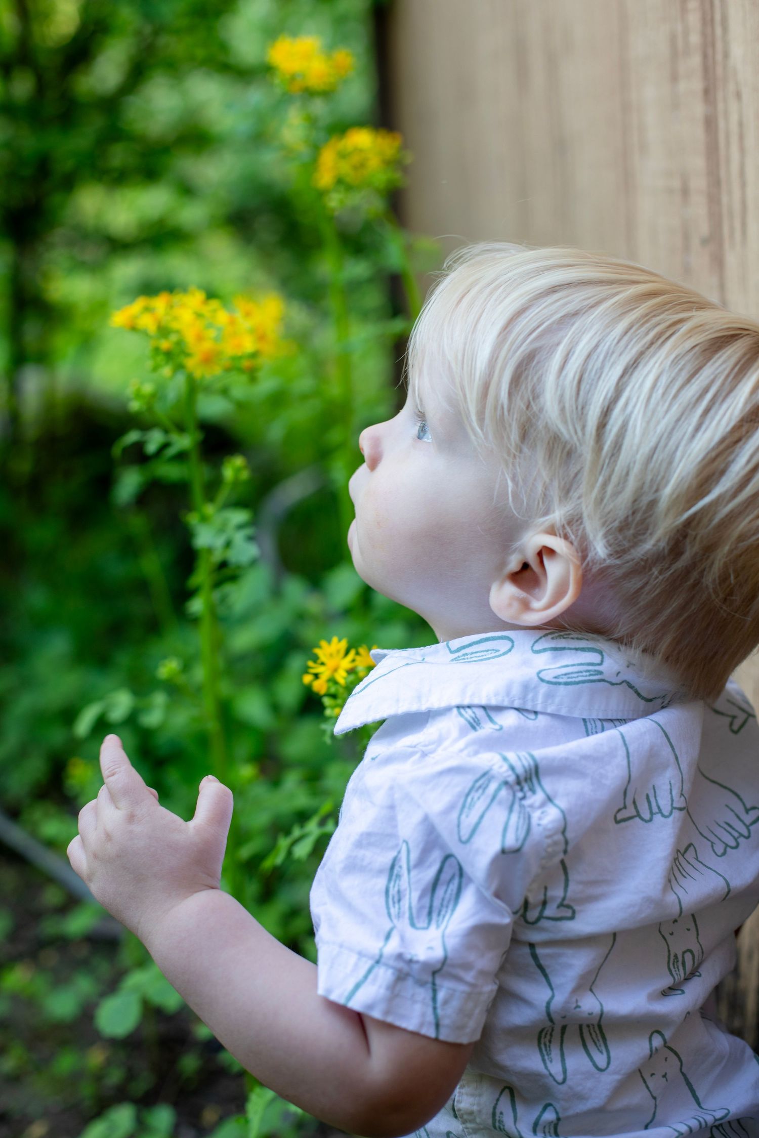 outdoor backyard summer sunset sessions cincinnati ohio photos taken by emily lupton photography. nature candid moments young children photo