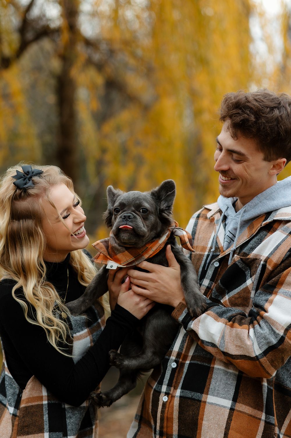 Couple laughs while holding their French Bulldog in autumn setting with golden leaves.