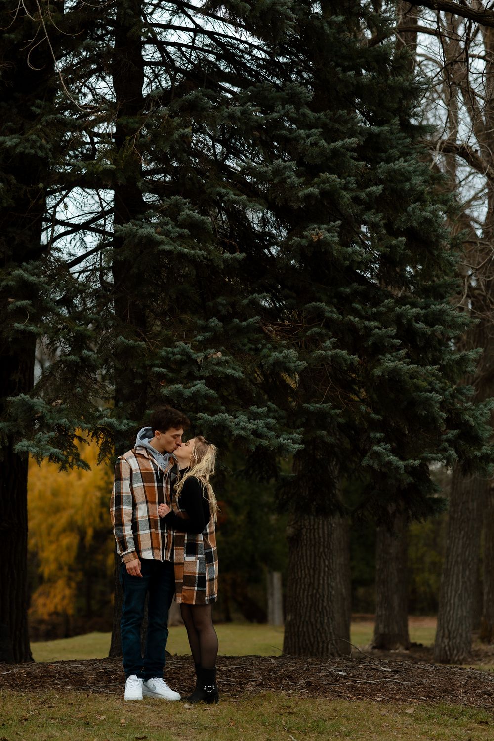 Couple sharing an intimate moment against evergreen trees in an autumn park setting.