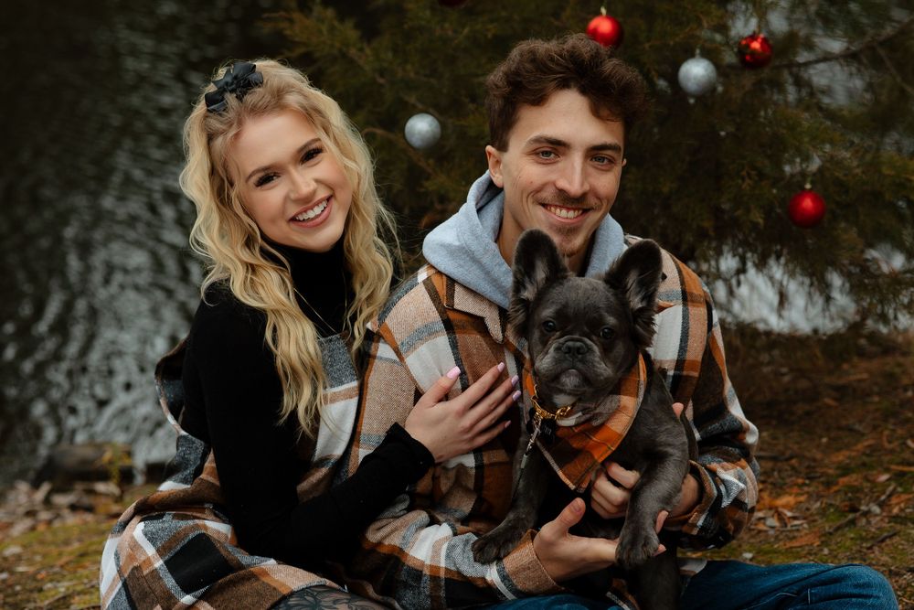 Holiday portrait with French Bulldog puppy in front of Christmas tree decorations.