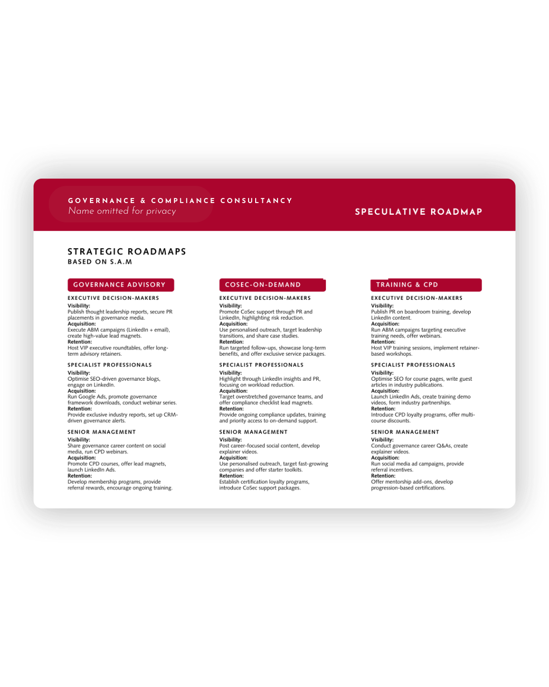 Strategic roadmap document showing consulting services categories in red and white divided into three columns.