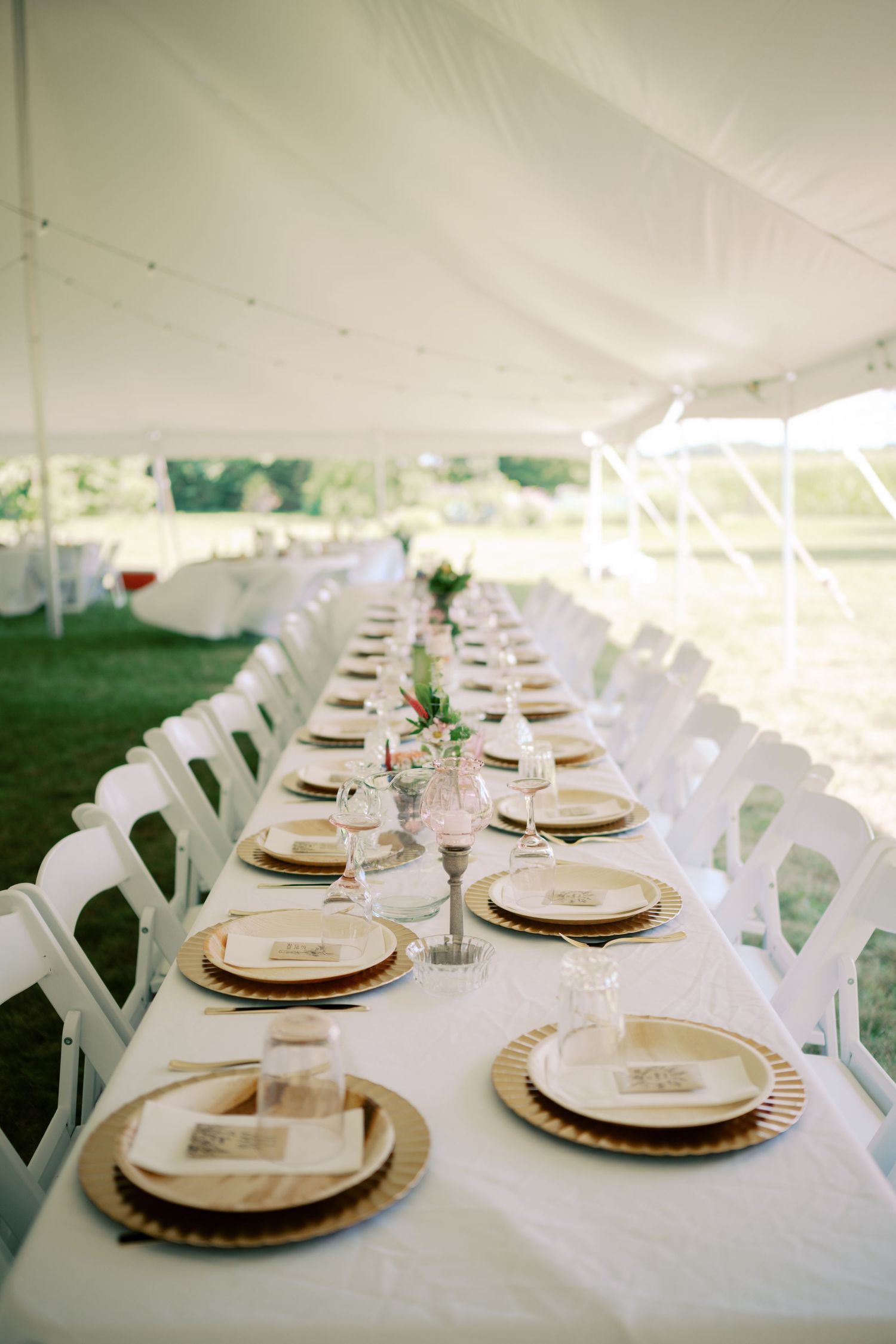Elegant wedding reception table setup under white tent with gold charger plates and white chairs on green lawn.