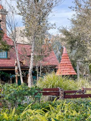 Red-roofed cottage with pointed turret style roof surrounded by birch trees and ornamental grasses in a garden setting.