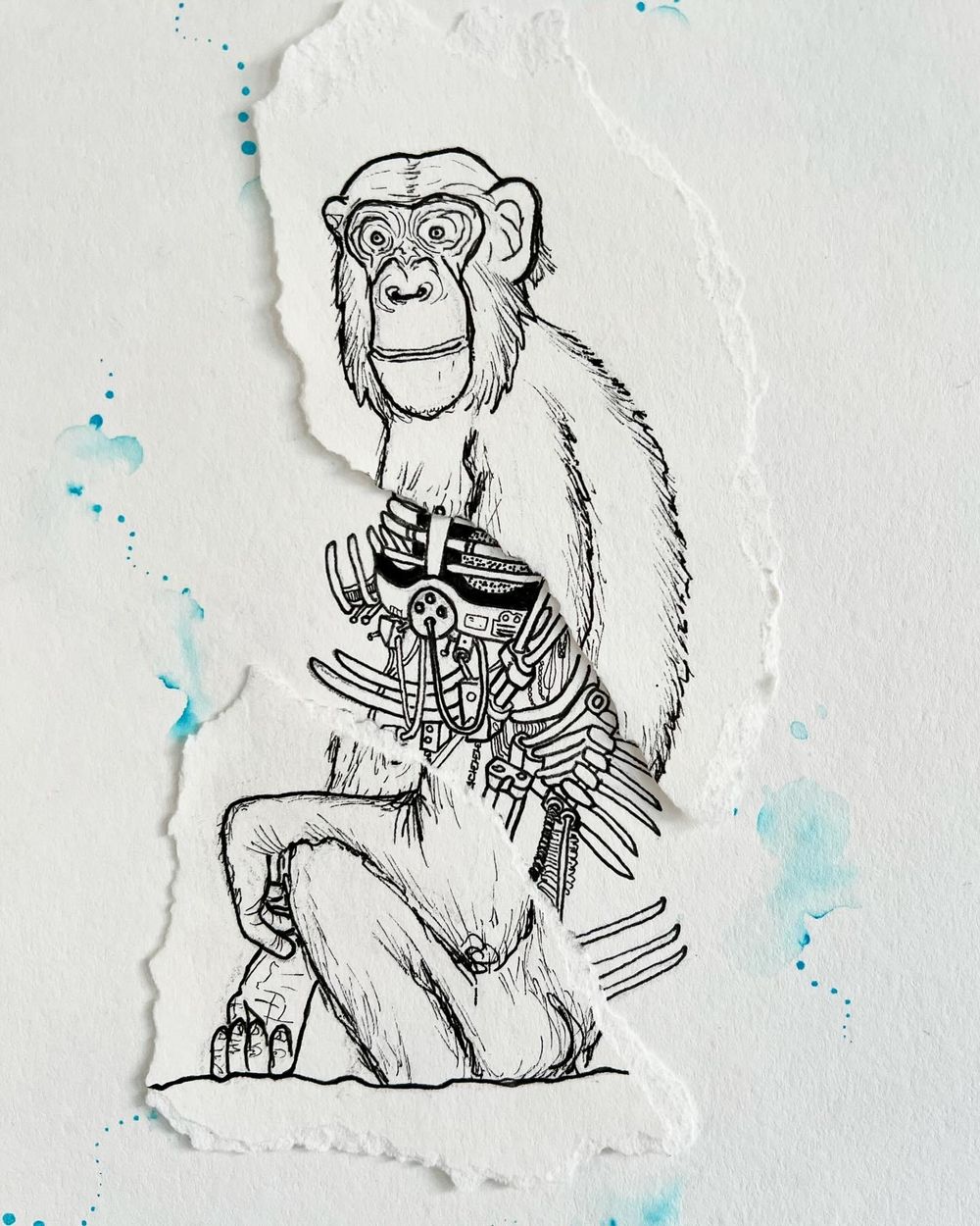Sketch of a chimpanzee sitting split in two with a watercolor-splashed background and mechanical insides showing.
