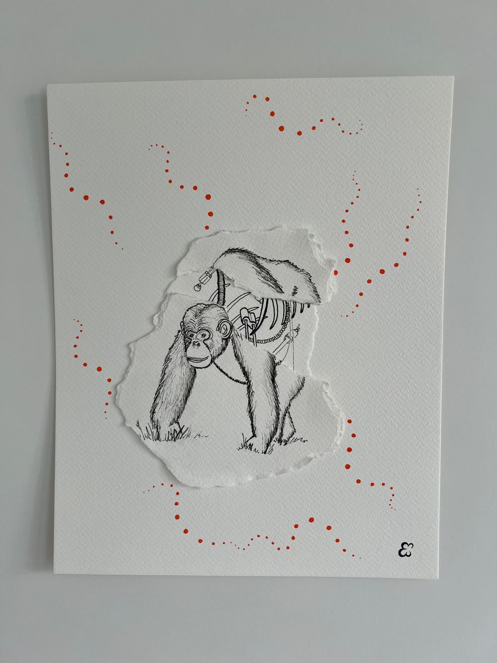 Sketch of a gorilla walking with orange dots scattered around torn paper edges.