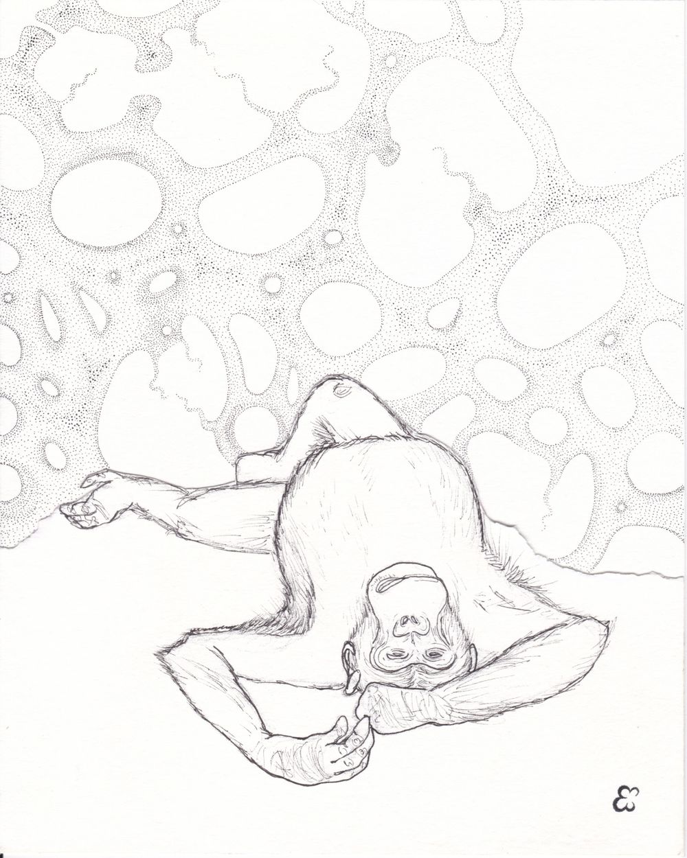 A stargazing chimp.