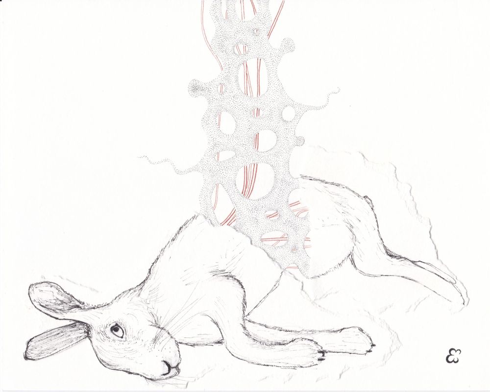 A pencil drawing of a dead hare with surreal and magical elements.