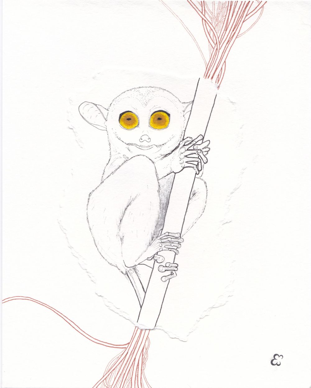 A sketch of a tarsier with large yellow eyes climbing a bamboo stalk.