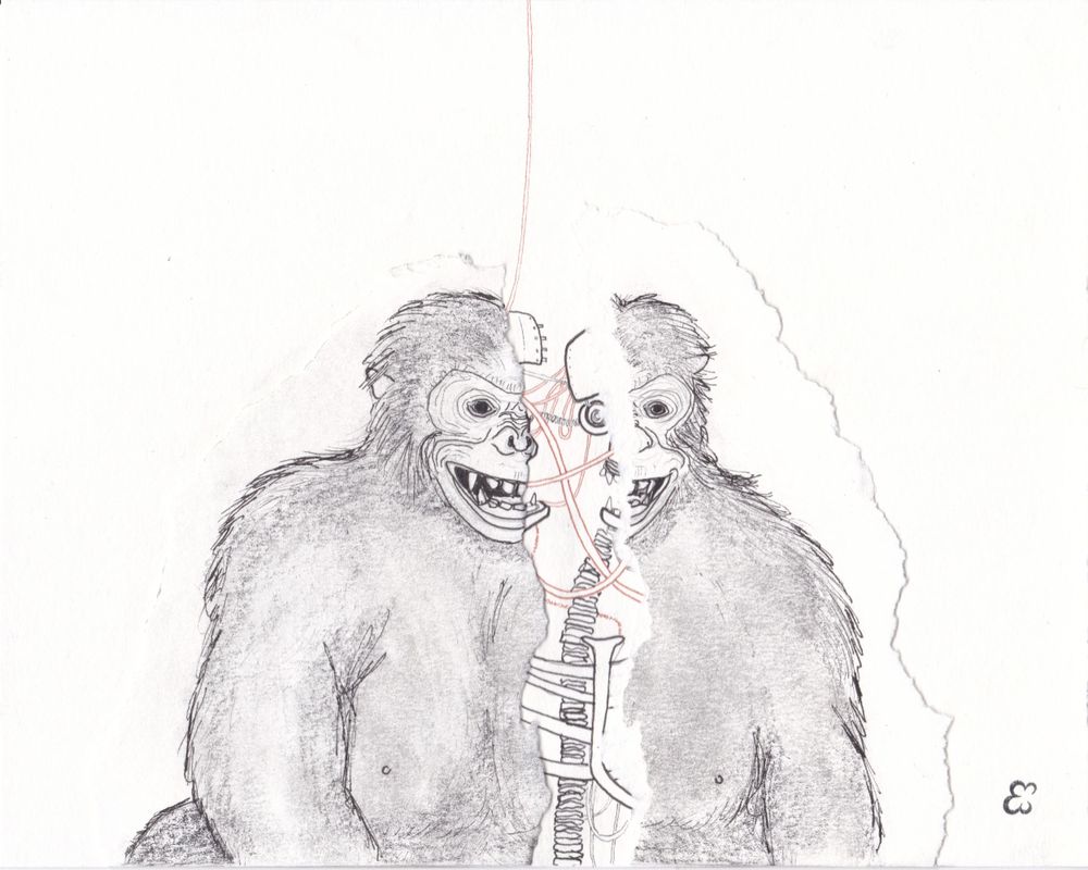 A pencil sketch shows a gorilla that has been split in two, exposing its artifical skeleton and wiring