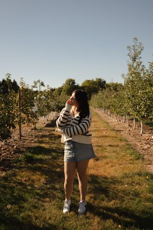 Young woman in striped sweater and denim shorts standing in an apple orchard on a sunny day.