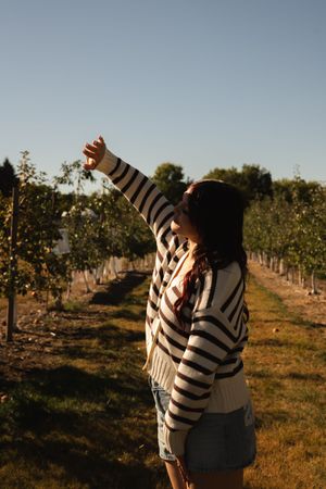 Woman in striped sweater and denim shorts picking fruit in a sunny orchard with rows of trees.