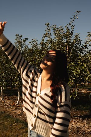 Young woman in striped sweater reaching up toward apple tree branches in golden hour sunlight.