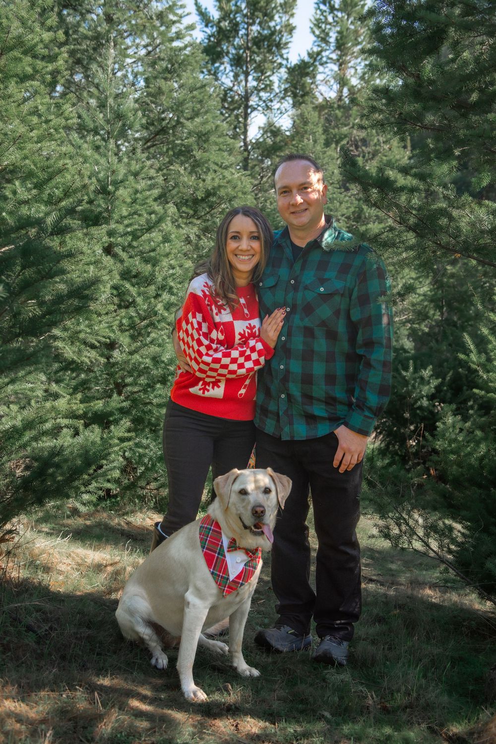 Couple in holiday sweaters posing with yellow Labrador wearing plaid bandana among evergreen trees.