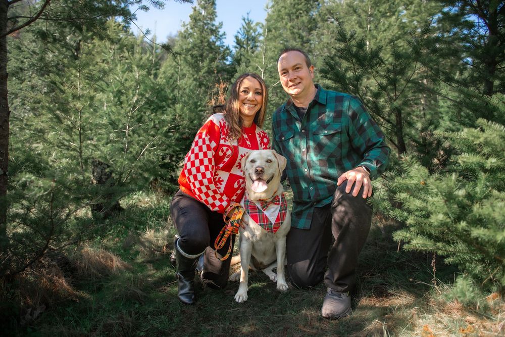 Couple in holiday sweaters posing with a yellow Lab wearing a bandana among evergreen trees.