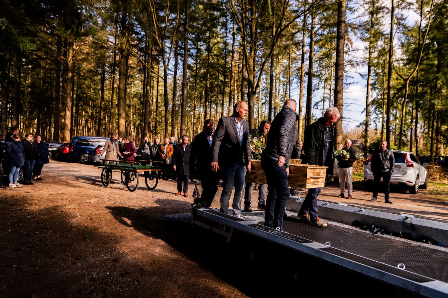 Funeral procession with pallbearers carrying a coffin outdoors among tall pine trees in golden sunlight.
