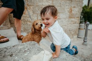 Laughing toddler in white shirt plays with a fluffy golden puppy outdoors on stone steps.