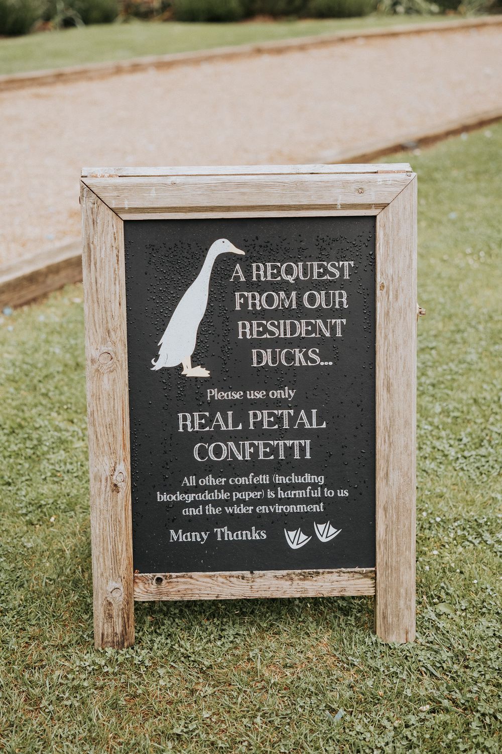 Rustic chalkboard wedding sign requesting real petal confetti only, featuring a duck illustration on a wooden easel frame.