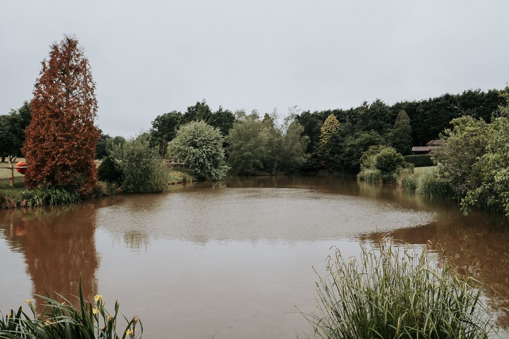 Muddy brown pond surrounded by lush green trees and a red-leafed tree under an overcast sky.