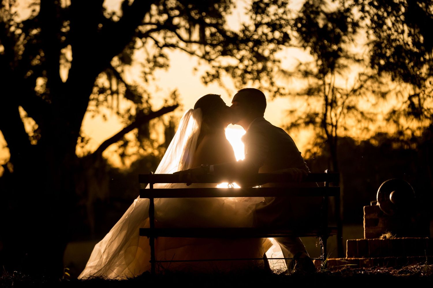 Silhouette of newlyweds kissing on a bench at sunset, framed by trees with warm golden light.