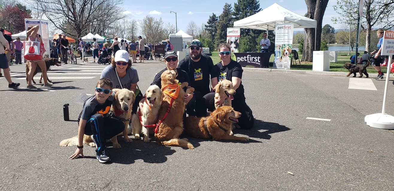Group of people posing with golden retrievers at an outdoor dog event on a sunny day.