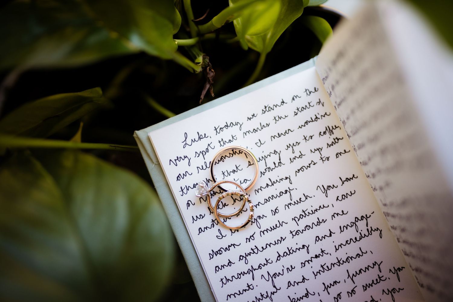 Gold wedding rings resting on handwritten vows in an open journal, surrounded by lush green leaves.