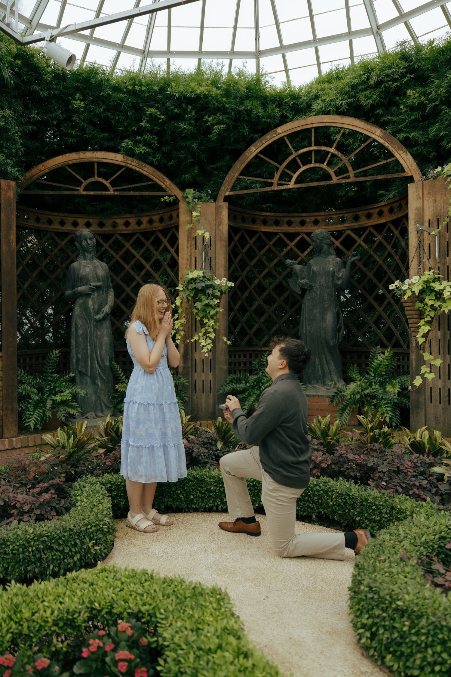 Man proposes on one knee to woman in blue dress inside elegant botanical garden greenhouse with statues.