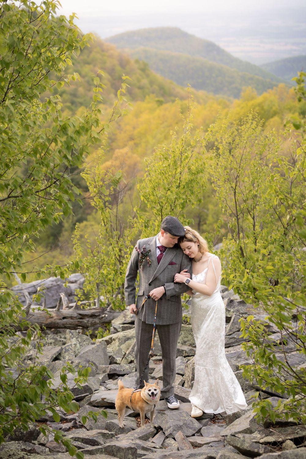 Bride and groom stand on rocky mountain overlook with small dog, surrounded by lush green trees and rolling hills.