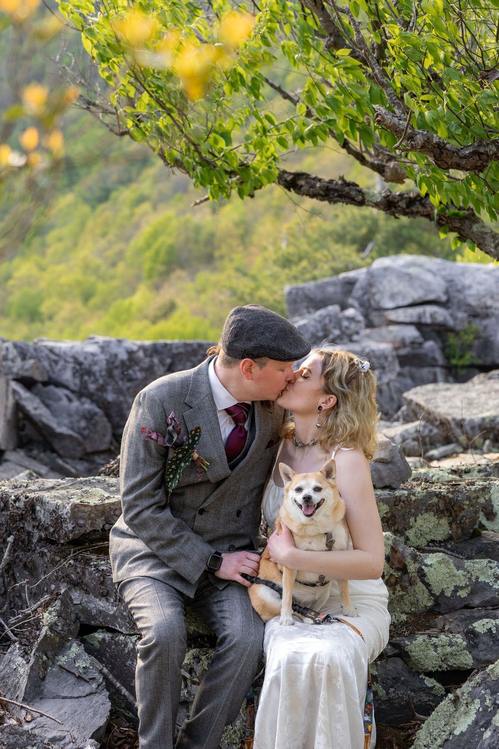 A couple shares a kiss on a stone wall while holding a corgi dog, dressed in wedding attire outdoors.