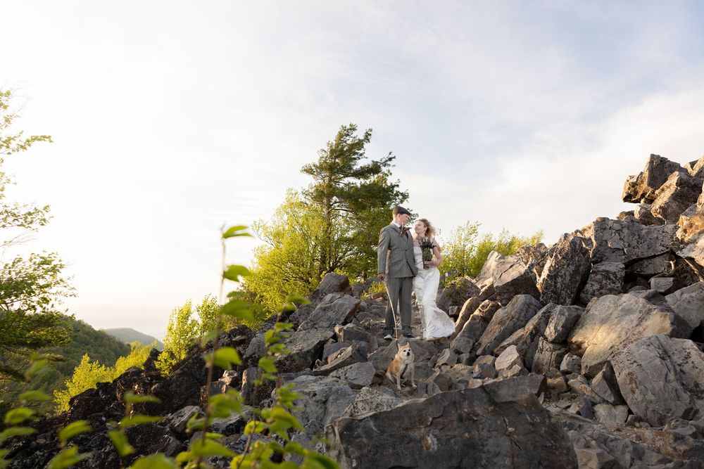 Bride and groom standing on rocky hillside surrounded by lush green trees during golden hour wedding portrait.