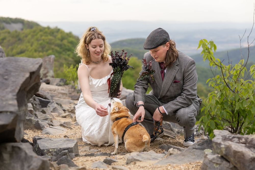 Bride and groom petting a corgi dog on a rocky mountain overlook during their outdoor wedding ceremony.
